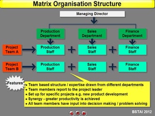 Matrix Organisation Structure

 