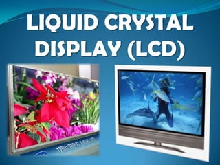 LIQUID CRYSTAL DISPLAY (LCD) 
