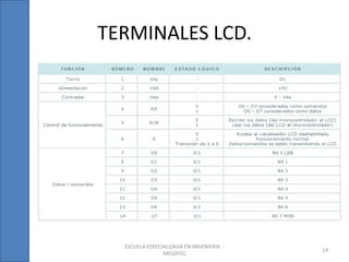TERMINALES LCD.




  ESCUELA ESPECIALIZADA EN INGENIERIA -
                                          14
                MEGATEC
 