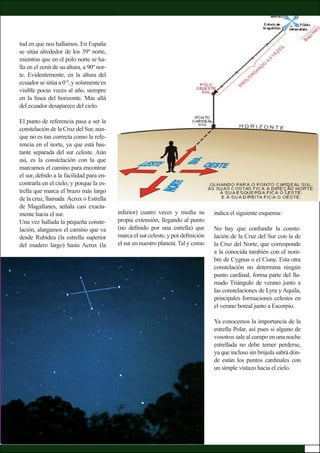 tud en que nos hallamos. En España
se sitúa alrededor de los 39º norte,
mientras que en el polo norte se ha-
lla en el zenit de su altura, a 90º nor-
te. Evidentemente, en la altura del
ecuador se sitúa a 0 º, y solamente es
visible pocas veces al año, siempre
en la línea del horizonte. Más allá
del ecuador desaparece del cielo.
El punto de referencia pasa a ser la
constelación de la Cruz del Sur, aun-
que no es tan correcta como la refe-
rencia en el norte, ya que está bas-
tante separada del sur celeste. Aún
así, es la constelación con la que
marcamos el camino para encontrar
el sur, debido a la facilidad para en-
contrarla en el cielo; y porque la es-
trella que marca el brazo más largo
de la cruz, llamada Acrux o Estrella
de Magallanes, señala casi exacta-
mente hacia el sur.
Una vez hallada la pequeña conste-
lación, alargamos el camino que va
desde Rubidea (la estrella superior
del madero largo) hasta Acrux (la
inferior) cuatro veces y media su
propia extensión, llegando al punto
(no deﬁnido por una estrella) que
marca el sur celeste, y por deﬁnición
el sur en nuestro planeta. Tal y como
indica el siguiente esquema:
No hay que confundir la conste-
lación de la Cruz del Sur con la de
la Cruz del Norte, que corresponde
a la conocida también con el nom-
bre de Cygnus o el Cisne. Esta otra
constelación no determina ningún
punto cardinal, forma parte del lla-
mado Triángulo de verano junto a
las constelaciones de Lyra y Aquila,
principales formaciones celestes en
el verano boreal junto a Escorpio.
Ya conocemos la importancia de la
estrella Polar, así pues si alguno de
vosotros sale al campo en una noche
estrellada no debe temer perderse,
ya que incluso sin brújula sabrá dón-
de están los puntos cardinales con
un simple vistazo hacia el cielo.
 