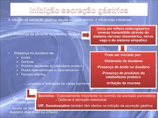 A inibição da secreção gástrica resulta de, pelo menos, 2 influências intestinais: Presença de alimento no intestino delgado Presença no duodeno de: Ácidos Gorduras Produtos resultantes do catabolismo proteico Fluidos hiper-osmóticos ou hipo-osmoticos Factores irritantes … .provoca a libertação de várias hormonas intestinais! Os reflexos entrerogástricos inibitórios e hormonas inibitórias também diminuem a motilidade gástrica ao mesmo tempo que reduzem a secreção gástrica !! Assim os factores intestinais abrandam a passagem do quimo do estômago quando o duodeno está cheio ou irritado! Inicia um reflexo enterogástrico reverso transmitido através do sistema nervoso mioentérico, nervo vago e do sistema simpático Pode ser iniciado por: Distensão do duodeno Presença de ácido no duodeno Presença de produtos do catabolismo proteico Irritação da mucosa Secretina  - Especialmente importante no controlo da secreção pancreática   - Opõe-se à secreção estomacal VIP, Somatostatina  também têm efeitos na inibição da secreção gástrica 