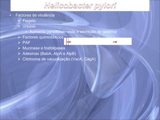 Factores de virulência Flagelo Urease Aumenta paradoxalmente a secreção de gastrina Factores quimiotáxicos PAF Mucinase e fosfolipases Adesinas (BabA, AlpA e AlpB) Citotoxina de vacuolização (VacA, CagA) 