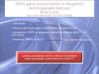 Introdução Mucinas são os principais constituientes camada de muco Apresentam VNTR no esqueleto central da moléclula (MUC1 – 25-125 VNTR) Pequenos VNRTs na MUC1    risco carcinoma gástrico Lesões precedentes (GCA) e (MI) ao CG também estão associadas a polimorfismos na MUC1? 
