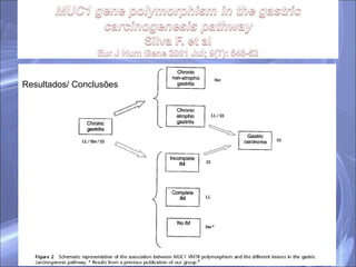 Resultados/ Conclusões 