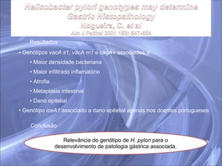 Resultados Genótipos  vacA s1, vacA m1  e  cagA+  associados a: Maior densidade bacteriana Maior infiltrado inflamatório Atrofia Metaplasia intestinal  Dano epitelial Genótipo  iceA1  associado a dano epitelial apenas nos doentes portugueses Conclusão ≠  genótipos  H. pylori ≠  alterações histiopatológicas Relevância do genótipo de  H. pylori  para o desenvolvimento de patologia gástrica associada. 