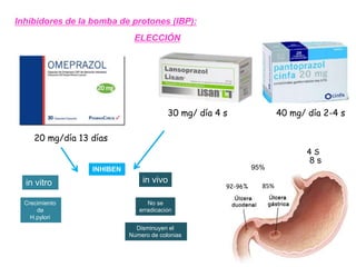 Inhibidores de la bomba de protones (IBP):
92-96% 85%
4 S
95%
8 s
ELECCIÓN
20 mg/día 13 días
30 mg/ día 4 s 40 mg/ día 2-4 s
INHIBEN
in vitro in vivo
Crecimiento
de
H.pylori
No se
erradicación
Disminuyen el
Número de colonias
 