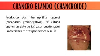 Úlceras genitales _20260409_110446_0000.pdf