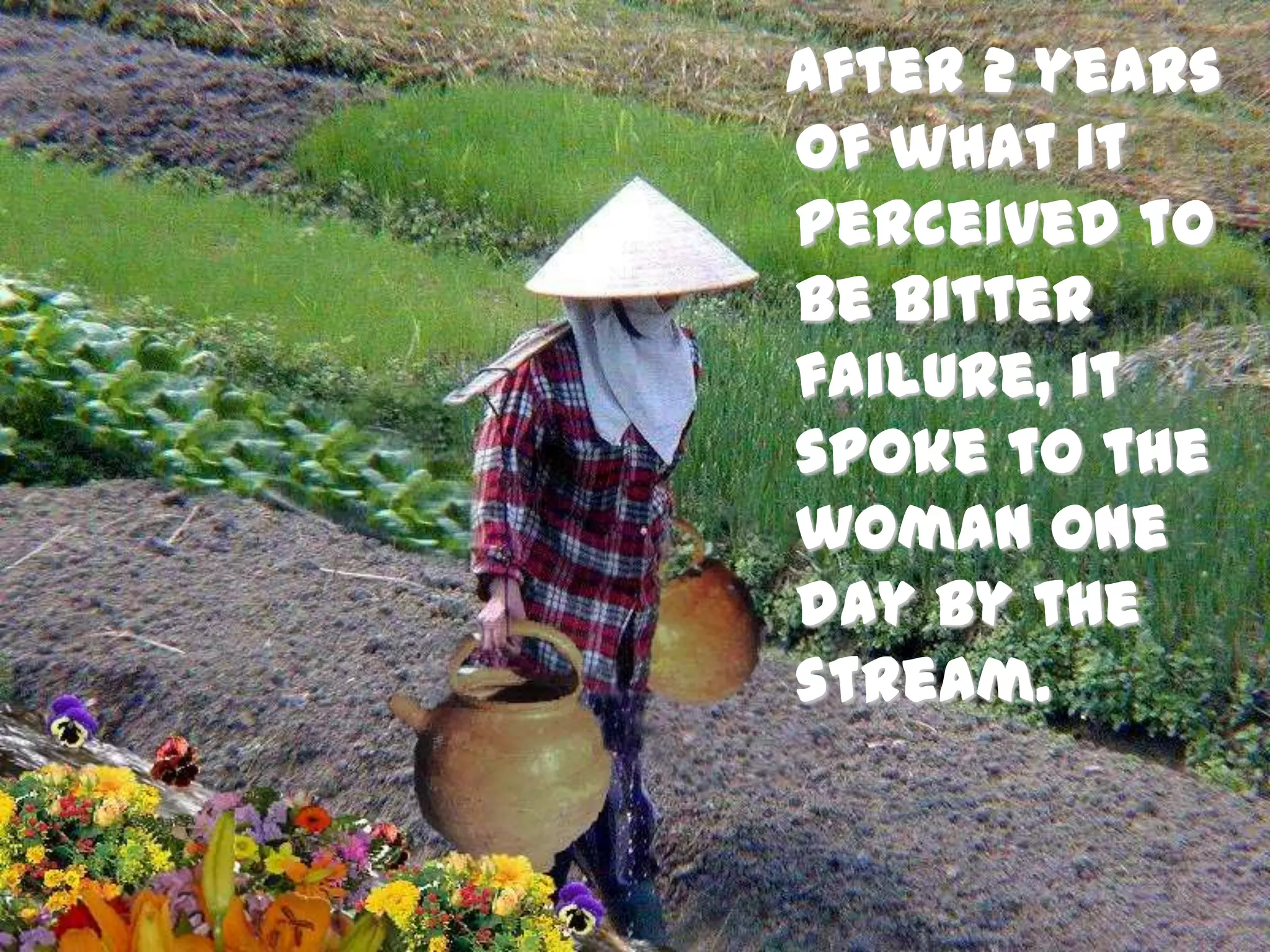   After 2 years of what it perceived to be bitter failure, it spoke to the woman one day by the stream.