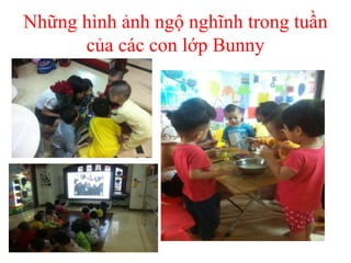 Những hình ảnh ngộ nghĩnh trong tuần
của các con lớp Bunny
 