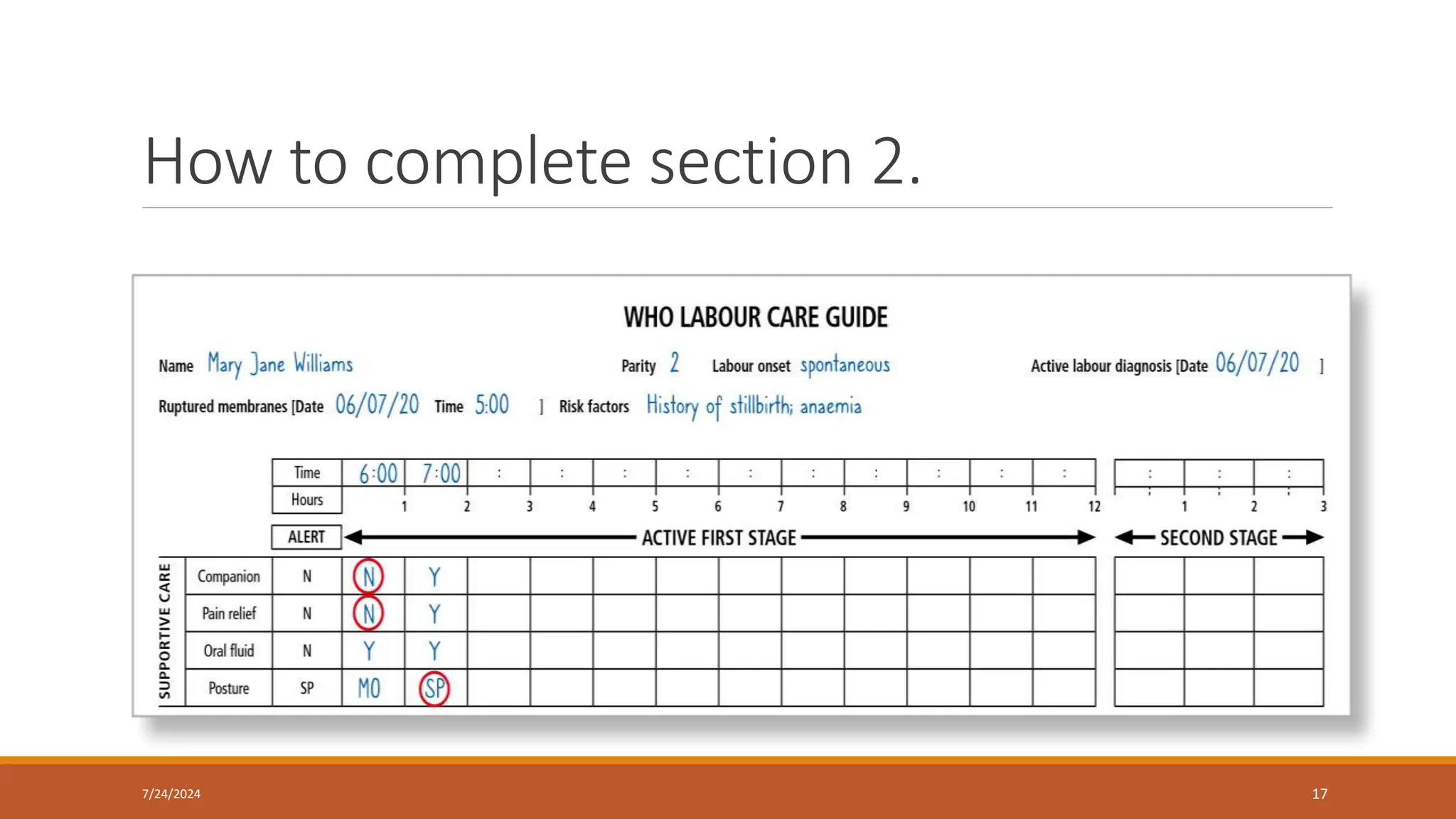 WHO user's manual labour care guide.pptx