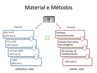 Material e Métodos


             Curva A                         Curva B

24°C  5°C                          Palhetas
(0,3°C min-1)                       horizontalmente

  5°C a -15°C                         Estante 3cm acima
   (10°C min-1)                       do nitrogênio

     -15°C até -100°C                   20 minutos 
     (-25°C min-1)                      imediatamente

        -100°C
                                          -70°C min-1
        (30°C min-)

                (SPRECKELS, 1994)              (KNEIßL, 1993)
 
