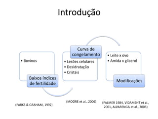 Introdução


                                Curva de
                              congelamento           • Leite x ovo
   • Bovinos              • Lesões celulares         • Amida x glicerol
                          • Desidratação
                          • Cristais
        Baixos índices
                                                           Modificações
        de fertilidade


                           (MOORE et al., 2006)   (PALMER 1984, VIDAMENT et al.,
(PARKS & GRAHAM, 1992)
                                                   2001, ALVARENGA et al., 2005)
 