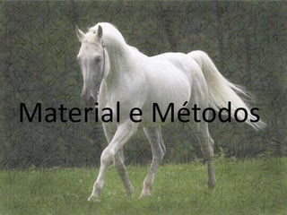 Material e Métodos
 