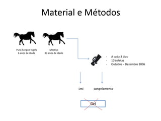 Material e Métodos


Puro Sangue Inglês       Mestiço
 6 anos de idade     30 anos de idade
                                                      -   A cada 3 dias
                                                      -   10 coletas
                                                      -   Outubro – Dezembro 2006




                                        1ml    congelamento



                                              Gel
 