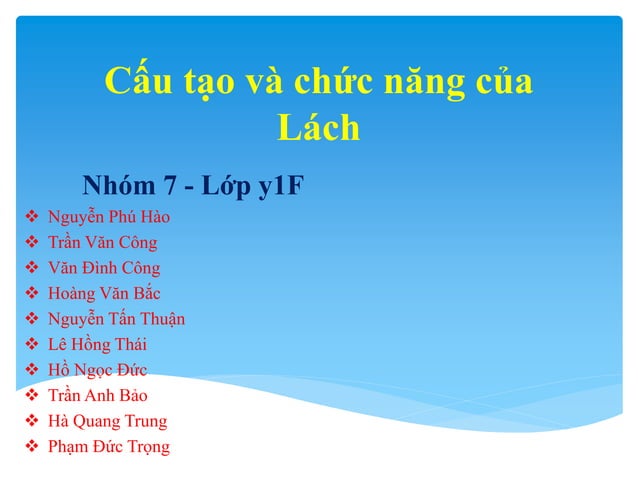 Lách - spleen - mô phôi y1f-DHY | PPT