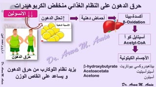 (ضبط أدوية السكر على النظام الغذائي منخفض الكربوهيدرات (نظام اللوكارب