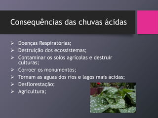 Consequências das chuvas ácidas
 Doenças Respiratórias;
 Destruição dos ecossistemas;
 Contaminar os solos agrícolas e destruir
culturas;
 Corroer os monumentos;
 Tornam as aguas dos rios e lagos mais ácidas;
 Desflorestação;
 Agricultura;
 
