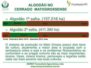 CERES® Consultoria Agronômica Ltda
www.ceresconsultoria.com.br
ALGODÃO NO
CERRADO MATOGROSSENSE
o Algodão 1ª safra. (157.016 ha)
o Algodão 2ª safra. (411.390 ha)
SET AGOFEV
SET AGOFEV
Fonte: Estimativa Safra 14/15 – dezembro 2014. Imea
tiguera
tiguera
O sistema de produção no Mato Grosso possui dois tipos
de cultivo, atualmente a maior área é ocupada com a
semeadura sobre a soja e os problemas fitossanitários se
confundem e as pragas comuns são as mais importantes;
ácaros, tripes, mosca branca, percevejos e lagartas estão
cada vez mais severos nas duas culturas.
 