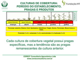 CERES® Consultoria Agronômica Ltda
www.ceresconsultoria.com.br
maio junho julho
seca↑
reiro março abril
va↑ seca↕/chuva↕ seca↑/chuva↓ seca↑ seca↑
Cobertura
Percevejo castanho, Elasmo, Coró, Spodoptera, Heliothinae, Pulgão, Ácaros, Percevejos, Mosca branca e
tripes.
Piretróide (1 a 3) , carbamato (1 a 2), neonicotinóide (1) e fosforado (1 a 2)
CULTURAS DE COBERTURA:
PERÍODO DO ESTABELECIMENTO,
PRAGAS E PRODUTOS
Cada cultura de cobertura vegetal possui pragas
específicas, mas a tendência são as pragas
remanescentes da cultura anterior.
 