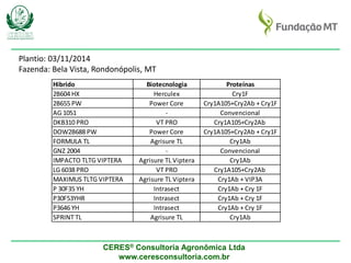CERES® Consultoria Agronômica Ltda
www.ceresconsultoria.com.br
Hibrido Biotecnologia Proteínas
2B604 HX Herculex Cry1F
2B655 PW Power Core Cry1A105+Cry2Ab + Cry1F
AG 1051 - Convencional
DKB310 PRO VT PRO Cry1A105+Cry2Ab
DOW2B688 PW Power Core Cry1A105+Cry2Ab + Cry1F
FORMULA TL Agrisure TL Cry1Ab
GNZ 2004 - Convencional
IMPACTO TLTG VIPTERA Agrisure TL Viptera Cry1Ab
LG 6038 PRO VT PRO Cry1A105+Cry2Ab
MAXIMUS TLTG VIPTERA Agrisure TL Viptera Cry1Ab + VIP3A
P 30F35 YH Intrasect Cry1Ab + Cry 1F
P30F53YHR Intrasect Cry1Ab + Cry 1F
P3646 YH Intrasect Cry1Ab + Cry 1F
SPRINT TL Agrisure TL Cry1Ab
Plantio: 03/11/2014
Fazenda: Bela Vista, Rondonópolis, MT
 
