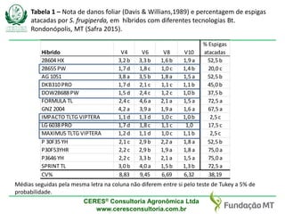 CERES® Consultoria Agronômica Ltda
www.ceresconsultoria.com.br
Hibrido V4 V6 V8 V10
% Espigas
atacadas
2B604 HX 3,2 b 3,3 b 1,6 b 1,9 a 52,5 b
2B655 PW 1,7 d 1,8 c 1,0 c 1,4 b 20,0 c
AG 1051 3,8 a 3,5 b 1,8 a 1,5 a 52,5 b
DKB310 PRO 1,7 d 2,1 c 1,1 c 1,1 b 45,0 b
DOW2B688 PW 1,5 d 2,4 c 1,2 c 1,0 b 37,5 b
FORMULA TL 2,4 c 4,6 a 2,1 a 1,5 a 72,5 a
GNZ 2004 4,2 a 3,9 a 1,9 a 1,6 a 67,5 a
IMPACTO TLTG VIPTERA 1,1 d 1,3 d 1,0 c 1,0 b 2,5 c
LG 6038 PRO 1,7 d 1,8 c 1,1 c 1,0 17,5 c
MAXIMUS TLTG VIPTERA 1,2 d 1,1 d 1,0 c 1,1 b 2,5 c
P 30F35 YH 2,1 c 2,9 b 2,2 a 1,8 a 52,5 b
P30F53YHR 2,2 c 2,9 b 1,9 a 1,8 a 75,0 a
P3646 YH 2,2 c 3,3 b 2,1 a 1,5 a 75,0 a
SPRINT TL 3,0 b 4,0 a 1,5 b 1,3 b 72,5 a
CV% 8,83 9,45 6,69 6,32 38,19
Tabela 1 – Nota de danos foliar (Davis & Willians,1989) e percentagem de espigas
atacadas por S. frugiperda, em híbridos com diferentes tecnologias Bt.
Rondonópolis, MT (Safra 2015).
Médias seguidas pela mesma letra na coluna não diferem entre si pelo teste de Tukey a 5% de
probabilidade.
 