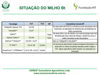 CERES® Consultoria Agronômica Ltda
www.ceresconsultoria.com.br
SITUAÇÃO DO MILHO Bt
Tecnologia Cry1 Cry2 VIP Comentários Cerrado MT
Yieldgard®; Agrisure TL® Cry1Ab
Herculex®™ Cry1F
Viptera™ Vip3A
Agrisure Viptera™ Cry1Ab Vip3A
Optimum™ Intrasect™ Cry1Ab + Cry1F Idem ao Yieldgard® e Herculex®™
VT PRO™ Cry1A.105 Cry2Ab
PowerCore™, VTPROMax™ Cry1A.105 + Cry1F Cry2Ab
Na atual safra (2014/2015) a eficiênica sobre Spodoptera não é
observado, as aplicações de inseticida são semealhantes ao
milho convencional.
Na atual safra o uso de híbridos com esta tecnologia está mais
difundida pela maior oferta de híbridos, mantém-se como a
melhor tecnologia contra Spodoptera.
As lavouras já demonstram escape de lagartas Spodoptera, na
atual safra os índices de plantas atacadas podem chegar a
10%. Alguns agricultores estão fazendo uma aplicação por
precaução.
 