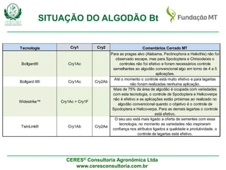 CERES® Consultoria Agronômica Ltda
www.ceresconsultoria.com.br
SITUAÇÃO DO ALGODÃO Bt
Tecnologia Cry1 Cry2 Comentários Cerrado MT
Bollgard® Cry1Ac
Para as pragas alvo (Alabama, Pectinophora e Heliothis) não foi
observado escape, mas para Spodoptera e Chrisodeixis o
controles não foi efetivo e foram necessários controle
semelhantes ao algodão convencional algo em torno de 4 a 5
aplicações.
Bollgard II® Cry1Ac Cry2Ab
Até o momento o controle está muito efetivo e para lagartas
não foram realizadas nenhuma aplicação.
Widestrike™ Cry1Ac + Cry1F
Mais de 75% da área de algodão é ocupada com variedades
com esta tecnologia, o controle de Spodoptera e Helicoverpa
não é efetivo e as aplicações estão próximas ao realizado no
algodão convencional quando o objetivo é o controle de
Spodoptera e Helicoverpa. Para as demais lagartas o controle
está efetivo.
TwinLink® Cry1Ab Cry2Ae
O seu uso está mais ligado a oferta de sementes com essa
tecnologia, no momento as variedades não inspiraram
confiança nos atributos ligados a qualidade e produtividade, o
controle de lagartas está efetivo.
 