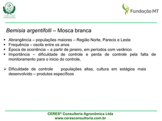 CERES® Consultoria Agronômica Ltda
www.ceresconsultoria.com.br
Bemisia argentifolli – Mosca branca
 Abrangência – populações maiores – Região Norte, Parecis e Leste
 Frequência – oscila entre os anos
 Época de ocorrência – a partir de janeiro, em períodos com verânico
 Importância – dificuldade de controle e perda de controle pela falta de
monitoramento para o inicio do controle,
 Dificuldade de controle populações altas, cultura em estágios mais
desenvolvido – produtos específicos
 