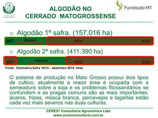 CERES® Consultoria Agronômica Ltda
www.ceresconsultoria.com.br
ALGODÃO NO
CERRADO MATOGROSSENSE
o Algodão 1ª safra. (157.0...
