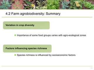 4.2 Farm agrobiodiversity: Summary

 Importance of some food groups varies with agro-ecological zones

 Species richness is influenced by socioeconomic factors

19

 