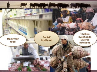 Introduction to Livestock in a Changing Landscape