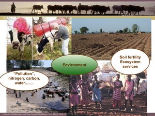 Introduction to Livestock in a Changing Landscape