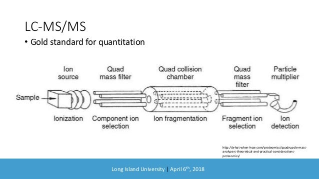 Lcms Basics lcms-basics