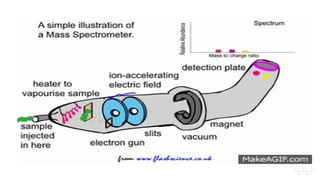 LCMS Final.pdf liquid chromatography and mass spectrometry | PDF