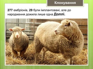 Клонування
277 ембріонів, 29 були імплантовані, але до
народження дожила лише одна Доллі.
 