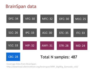 CBC:	28	
MD:	24	STR:	28	AMY:	31	HIP:	32	
DFC:	34	
Total N samples: 487
BrainSpan data
Coverage	Data	from	BrainSpan:	
hBp://download.allenins#tute.org/brainspan/MRF_BigWig_Gencode_v10/	
VFC:	30	 MFC:	32	 OFC:	30	 M1C:	25	
S1C:	26	 IPC:	33	 A1C:	30	 STC:	35	 ITC:	33	
V1C:	33	
 