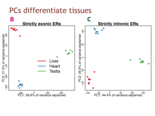 PCs differentiate tissues
 