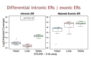 Differential intronic ERs | exonic ERs
 