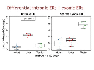 Differential intronic ERs | exonic ERs
 