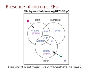 Differential intronic ERs | exonic ERs
 