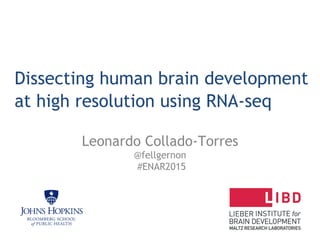 Dissecting human brain development
at high resolution using RNA-seq
Leonardo Collado-Torres
@fellgernon
#ENAR2015
 