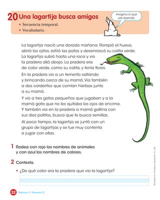 La lagartija nació una dorada mañana. Rompió el huevo,
abrió los ojitos, estiró las patas y desenroscó su colita verde.
La lagartija subió hasta una roca y vio
la pradera allá abajo. La pradera era
de color verde, como su colita, y tenía flores.
En la pradera vio a un ternerito saltando
y brincando cerca de su mamá.Vio también
a dos corderitos que comían hierbas junto
a su mamá.
Y vio a tres gatos pequeños que jugaban y a la
mamá gata que no les quitaba los ojos de encima.
Y también vio en la pradera a mamá gallina con
sus diez pollitos, busca que te busca semillas.
Al poco tiempo, la lagartija se juntó con un
grupo de lagartijas y se fue muy contenta
a jugar con ellas.
• Secuencia temporal.
• Vocabulario.
1 Rodea con rojo los nombres de animales
y con azul los nombres de colores.
2 Contesta.
• ¿De qué color era la pradera que vio la lagartija?
20 Imagina lo que
vas leyendo.
Una lagarti a busca amigos
32
©
Santillana
S.
A.
Prohibida
su
reproducción.
D.
L.
822
Relaciona (1). Recupera (2).
 