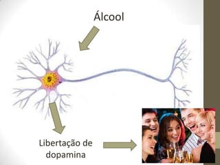 Álcool




Libertação de
  dopamina
 