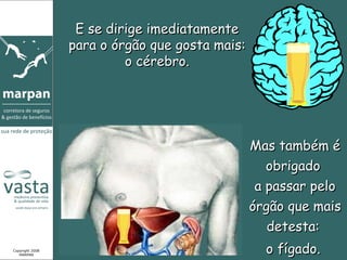 E se dirige imediatamente para o órgão que gosta mais: o cérebro. Mas também é obrigado  a passar pelo órgão que mais detesta:  Copyright 2008 MARPAN o fígado. 
