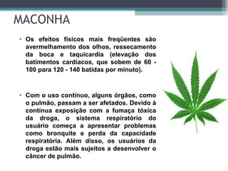 MACONHA
• Os efeitos físicos mais freqüentes são
avermelhamento dos olhos, ressecamento
da boca e taquicardia (elevação dos
batimentos cardíacos, que sobem de 60 -
100 para 120 - 140 batidas por minuto).
• Com o uso contínuo, alguns órgãos, como
o pulmão, passam a ser afetados. Devido à
contínua exposição com a fumaça tóxica
da droga, o sistema respiratório do
usuário começa a apresentar problemas
como bronquite e perda da capacidade
respiratória. Além disso, os usuários da
droga estão mais sujeitos a desenvolver o
câncer de pulmão.
 