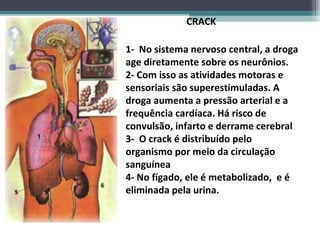 1- No sistema nervoso central, a droga
age diretamente sobre os neurônios.
2- Com isso as atividades motoras e
sensoriais são superestimuladas. A
droga aumenta a pressão arterial e a
frequência cardíaca. Há risco de
convulsão, infarto e derrame cerebral
3- O crack é distribuído pelo
organismo por meio da circulação
sanguínea
4- No fígado, ele é metabolizado, e é
eliminada pela urina.
CRACK
 