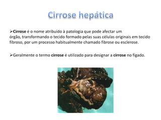  Estes órgãos são os primeiros a ser afectados pelo consumo do álcool, por serem aqueles que maior quantidade de sangue recebem.