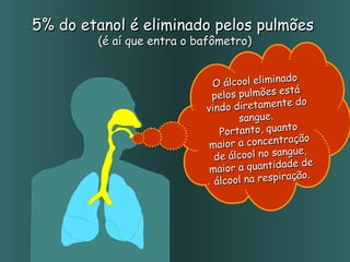 5% do etanol é eliminado pelos pulmões   (é aí que entra o bafômetro) O álcool eliminado pelos pulmões está vindo diretamente do sangue.  Portanto, quanto maior a concentração de álcool no sangue, maior a quantidade de álcool na respiração. 