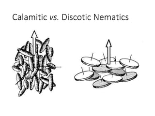 Calamitic vs. Discotic Nematics
 