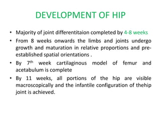 DEVELOPMENT OF HIP
• Majority of joint differentitaion completed by 4-8 weeks
• From 8 weeks onwards the limbs and joints undergo
growth and maturation in relative proportions and pre-
established spatial orientations .
• By 7th week cartilaginous model of femur and
acetabulum is complete
• By 11 weeks, all portions of the hip are visible
macroscopically and the infantile configuration of thehip
joint is achieved.
 
